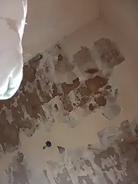 maridao 020 online show from March 2026 09:57:02 AM