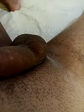 bengala223 online show from October 2025 11:54:01 AM