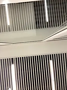 SuzieMurray online show from February 2025 08:27:02 AM