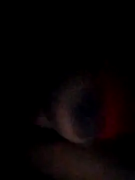 pornstarbrezillian online show from November 2025 04:54:02 AM