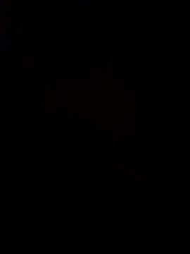 pornstarbrezillian online show from November 2025 08:25:01 AM