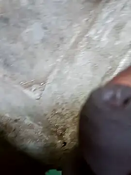 jellydicks online show from December 2024 11:18:01 AM