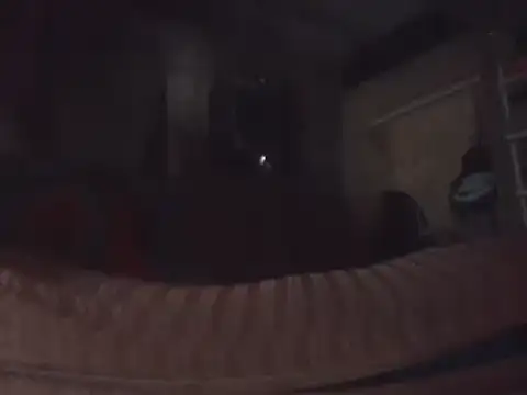 Snapshot of tripexnte chatting on February 2025 01:10:01 AM tripexnte online show from February 2025 01:10:01 AM