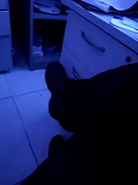 pedritolobito online show from April 2026 03:22:01 AM