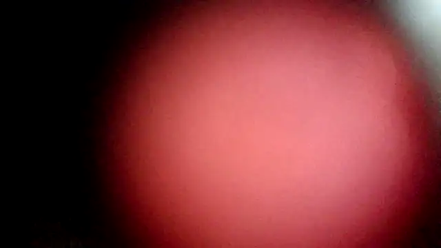 modenq online show from March 2026 02:33:02 PM