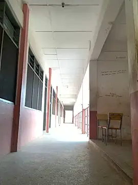 Black mamba madingo online show from December 2024 12:13:01 PM