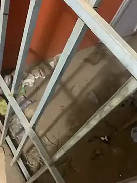 Black mamba madingo online show from March 2025 04:08:02 AM