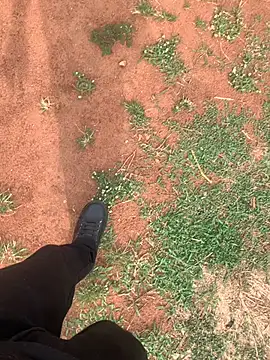 Black mamba madingo online show from March 2025 08:40:01 AM