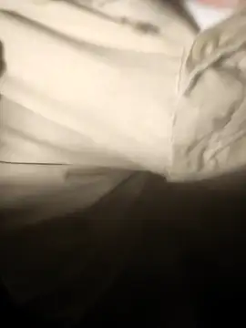 oliveirinhafotografo online show from February 2025 11:34:02 PM