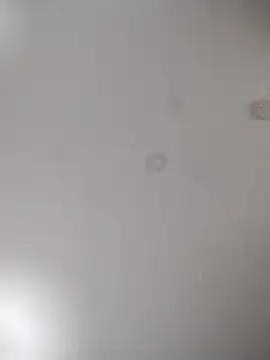 geilerschwanz64 online show from October 2025 07:05:02 AM