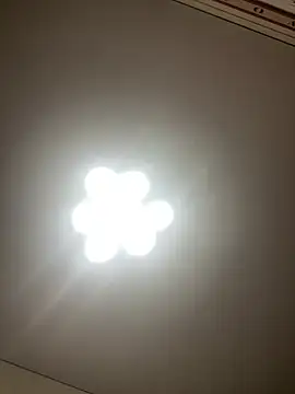 Janet Welder online show from December 2024 06:56:02 PM