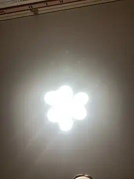 Janet Welder online show from December 2024 08:34:01 PM