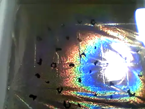 Snapshot of camiliaskye chatting on December 2024 04:22:01 AM camiliaskye online show from December 2024 04:22:01 AM