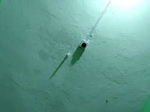 RADHAHO online show from November 2025 09:50:02 PM