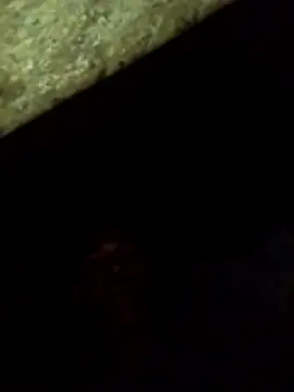 lakskdnd12 online show from February 2026 02:56:01 AM