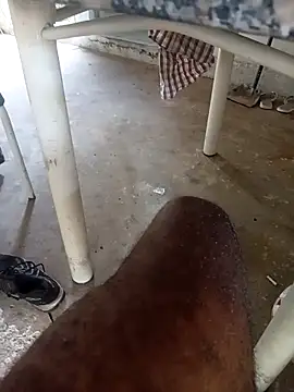 lakskdnd12 online show from April 2026 10:12:02 AM