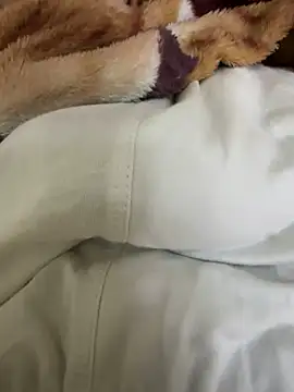 hamed-697 online show from December 2024 09:57:01 PM