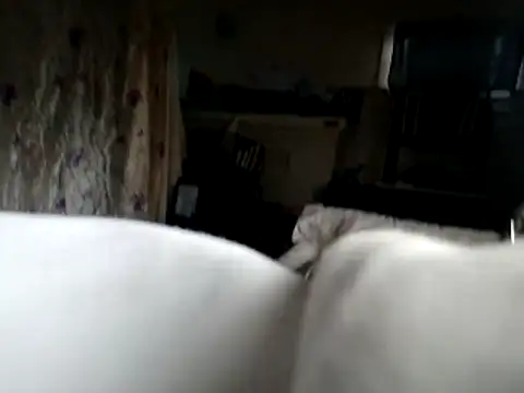 DevinToore online show from November 2025 10:26:01 PM