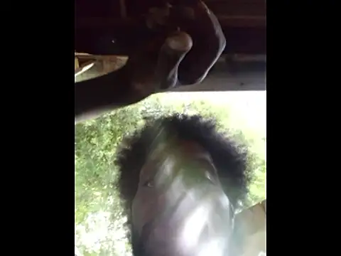 DevinToore online show from April 2026 02:09:02 AM