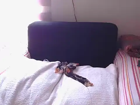 Mollybrookexx online show from December 2024 08:04:01 AM