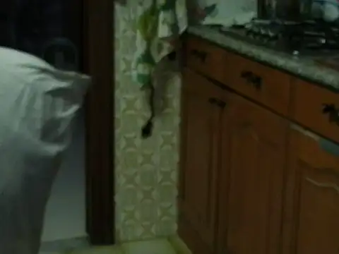 Snapshot of VeneRed chatting on October 2025 03:49:01 PM VeneRed online show from October 2025 03:49:01 PM