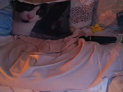 Snapshot of VeneRed chatting on November 2025 07:51:02 PM VeneRed online show from November 2025 07:51:02 PM