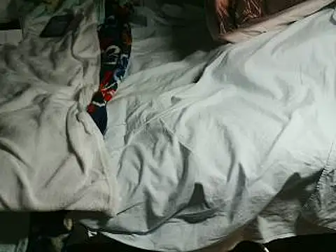 VeneRed online show from April 2026 06:26:01 PM