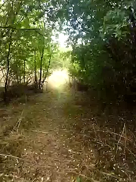 Snapshot of nataliecdlive chatting on September 2025 01:33:01 PM nataliecdlive online show from September 2025 01:33:01 PM