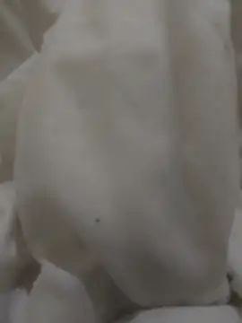 hugecrksam online show from October 2025 10:32:02 PM