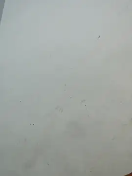 Sania-Love online show from December 2025 11:11:01 PM