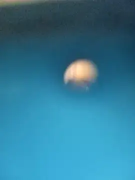 Sonya5156 online show from February 2025 03:28:02 PM