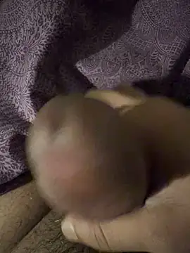 BigAddress0 online show from February 2026 02:42:02 AM