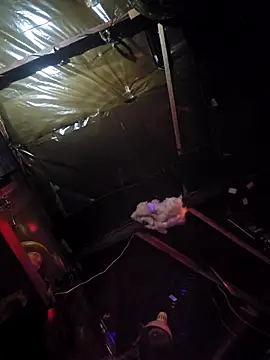 Jamixxxdress77 online show from March 2026 12:08:01 AM