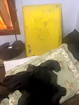 gloria7v05 online show from November 2025 12:38:02 PM