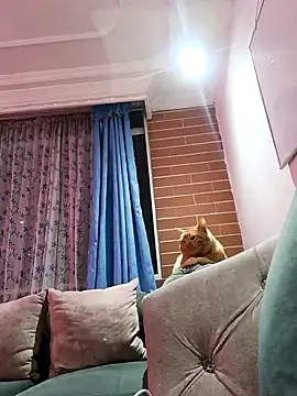 devi black13  online show from January 2025 06:09:02 AM