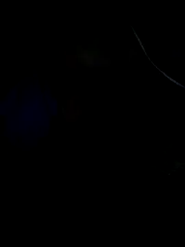 Leocesar37 online show from April 2026 06:56:01 PM