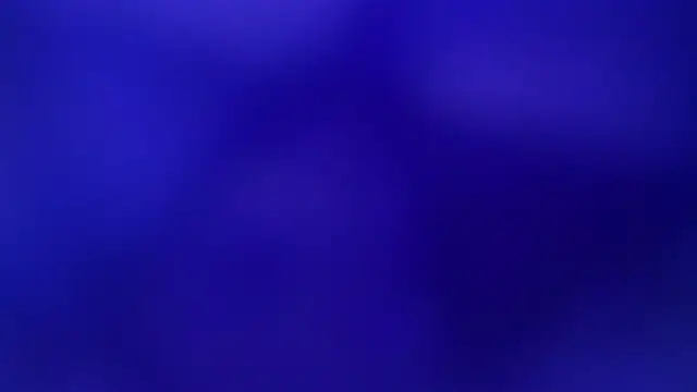 mia becke online show from January 2025 12:09:01 PM