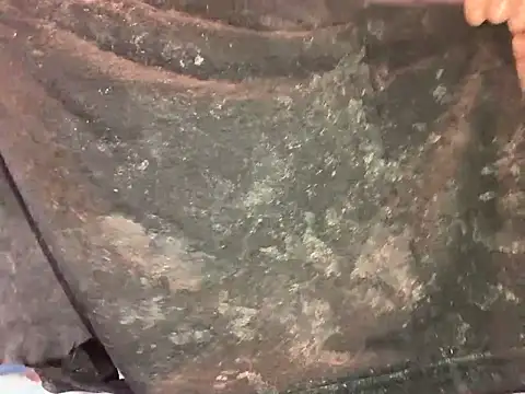 barenlund456 online show from April 2026 08:55:02 PM