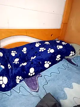 PequeArely online show from December 2024 07:50:02 AM