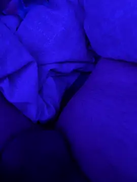 Hugo76578 online show from September 2025 01:34:02 PM