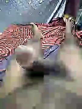 mallucallboy2104 online show from December 2024 07:21:02 PM