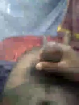 mallucallboy2104 online show from January 2025 04:47:01 AM