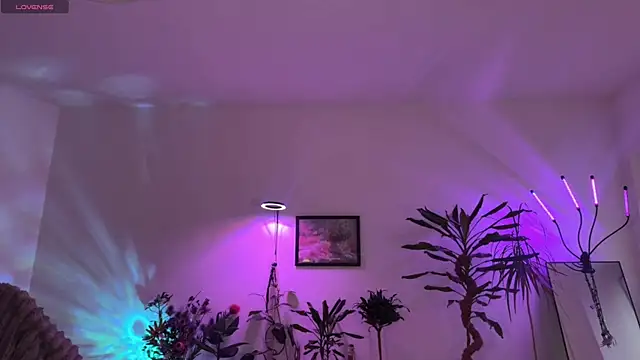 PaulaPratt online show from March 2026 05:19:01 AM