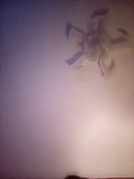 Fiesty findom40 online show from January 2026 02:35:02 AM