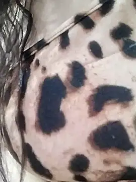 Cristina sexy maroc online show from January 2026 11:47:02 PM