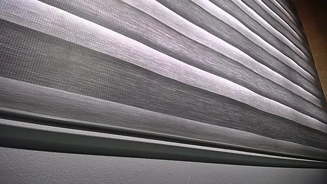 palmer mIix online show from December 2024 01:03:01 PM