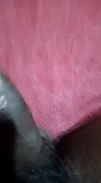 FuckMeNice24 online show from December 2024 08:29:01 PM