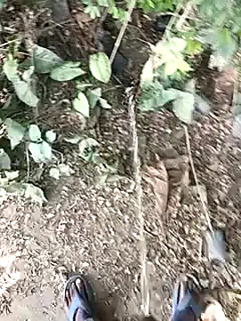 desicockblack online show from December 2024 06:15:01 AM