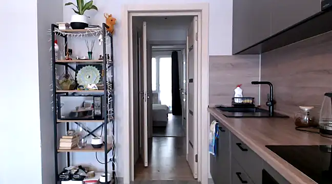 jainesummer online show from March 2025 08:10:01 AM