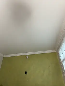 aurora divine online show from November 2025 01:13:02 PM